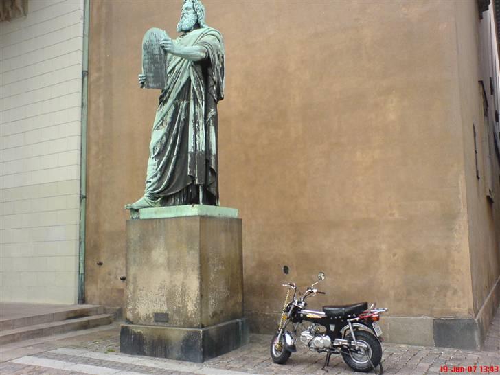 Skyteam Dax. / Mg - Flotteste. billede 19