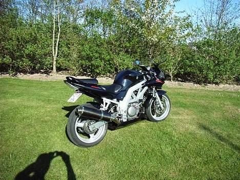 Suzuki SV 650 S #SOLGT# - Nyvasket/pudset. I haven hjemme ved de gamle billede 7