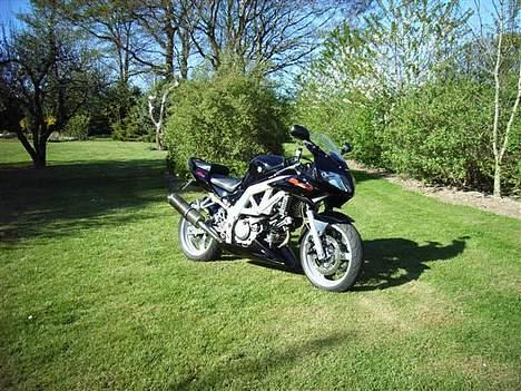 Suzuki SV 650 S #SOLGT# billede 9