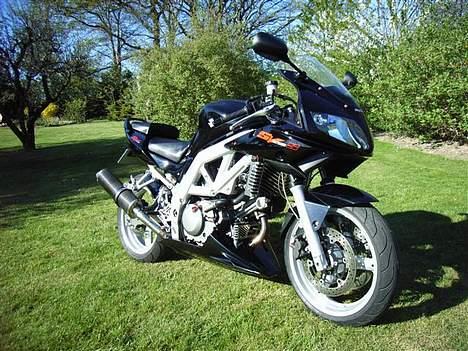 Suzuki SV 650 S #SOLGT# billede 10