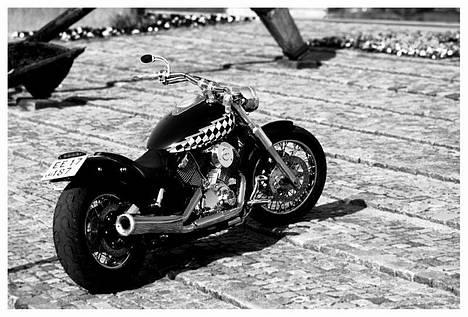 Yamaha xvs 1100 Dragstar billede 17