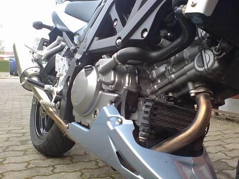 Suzuki SV650S billede 7