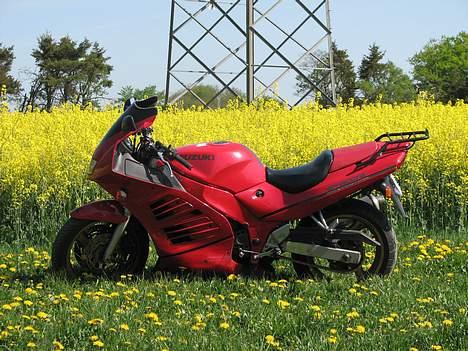 Suzuki RF600R billede 2