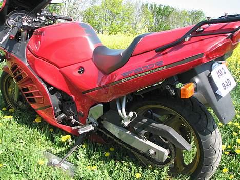 Suzuki RF600R billede 5