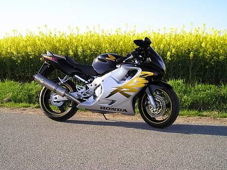 Honda CBR 600 F4 - Gul, det kan vi li....;o) billede 7