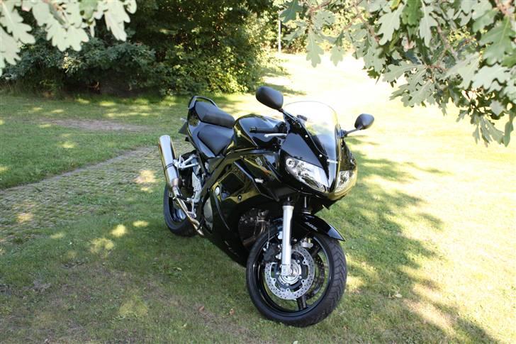 Suzuki Sv650sAK7 - Solgt 28-3-09 billede 5