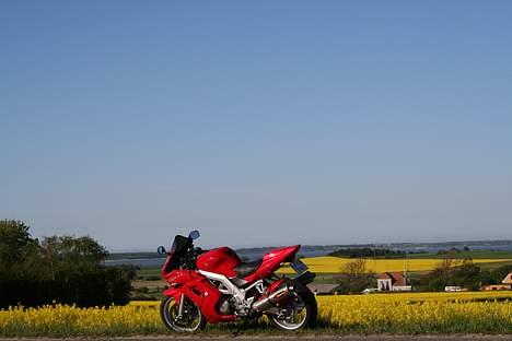 Suzuki  Sv 1000 Solgt billede 8