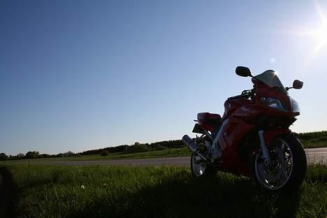 Suzuki  Sv 1000 Solgt billede 9