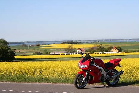 Suzuki  Sv 1000 Solgt billede 11