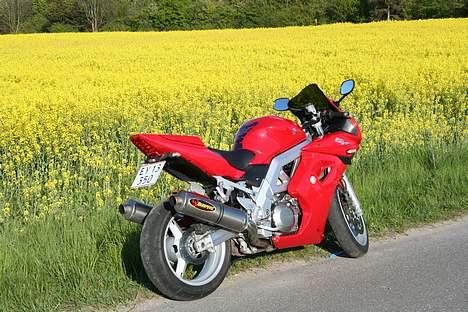 Suzuki  Sv 1000 Solgt billede 14