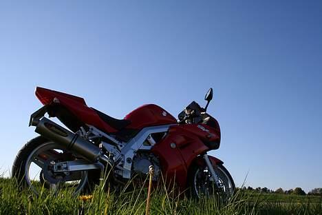 Suzuki  Sv 1000 Solgt billede 19