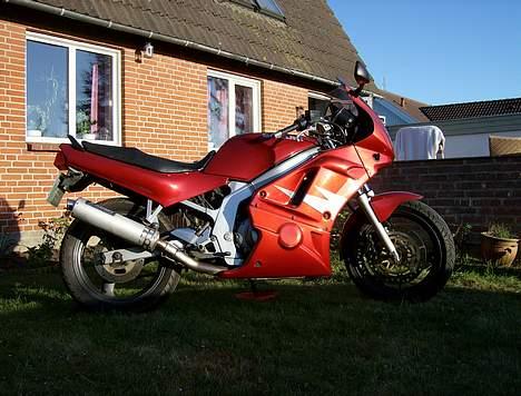 Suzuki gs 500 billede 2