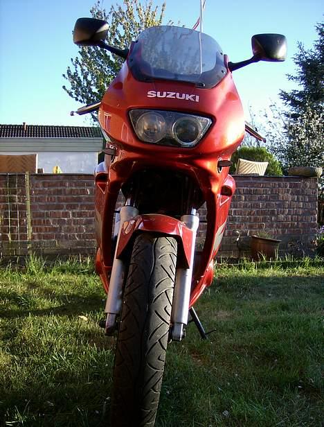 Suzuki gs 500 billede 6