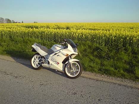 Honda VFR 750 billede 16