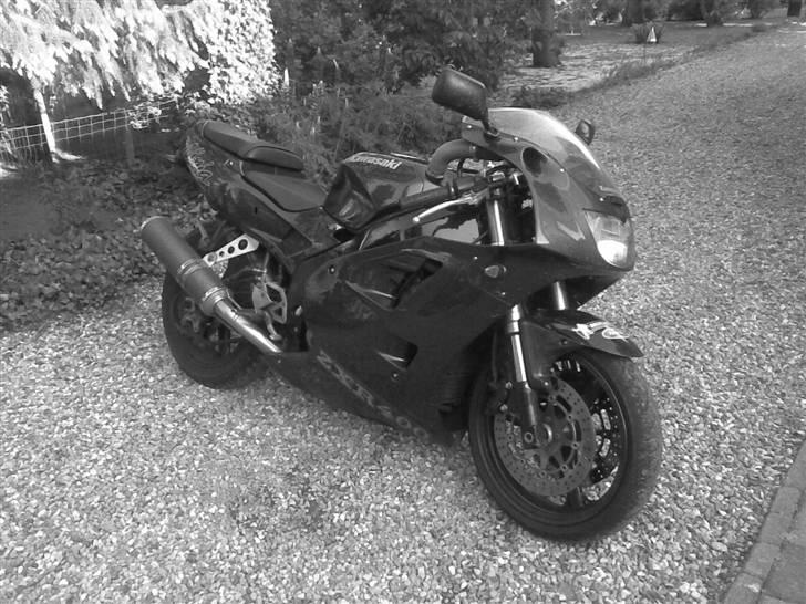 Kawasaki ZXR 400 Ninja billede 2