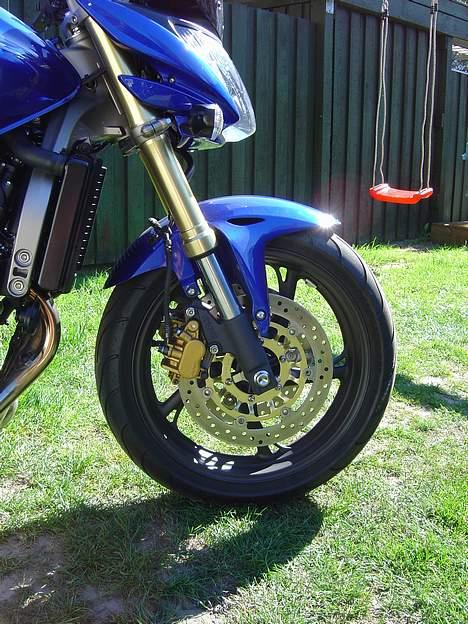 Honda Hornet - Vild med guld looket billede 5