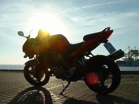 Suzuki SV650SK5 billede 8