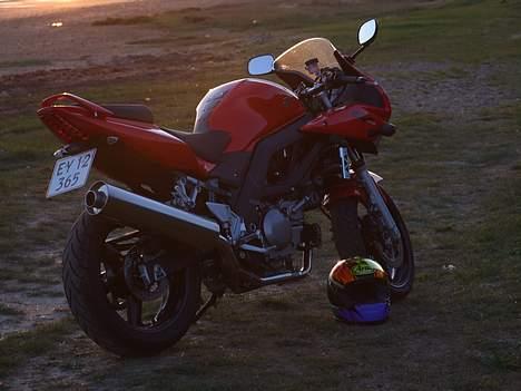 Suzuki SV650SK5 billede 11