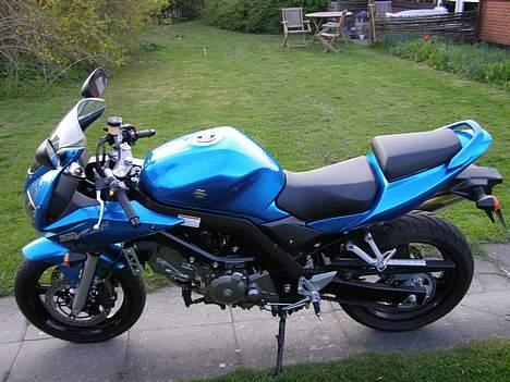 Suzuki Sv 650S billede 4