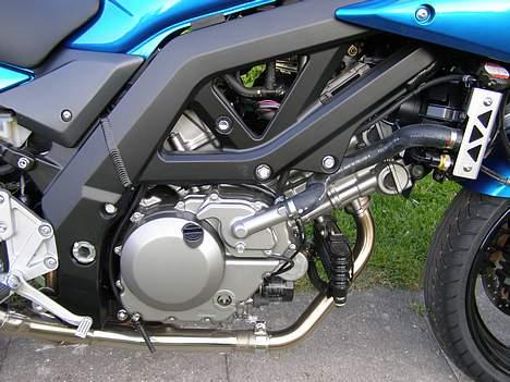 Suzuki Sv 650S - Jeg kan godt li at motoren ikke er gemt væk bag ved masser af plastik,man skal kunne se motor og elektronik. billede 6