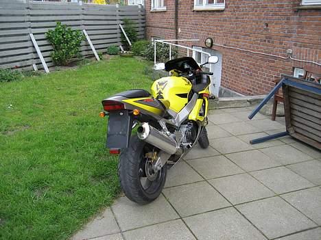 Honda CBR 900 RR FIREBLADE - lige kommet hjem billede 4