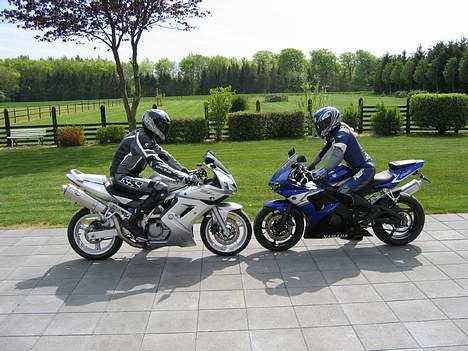 Suzuki SV 650S - Solgt - SVinet VS. Tøze Raceren..... billede 14