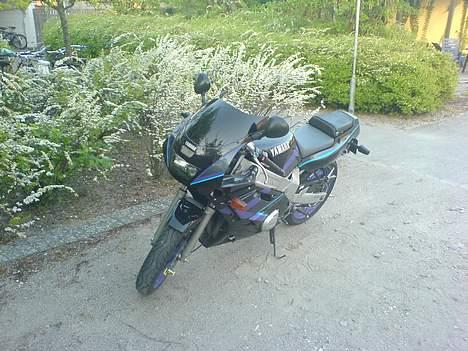 Yamaha FZR 600 [SOLGT] billede 1