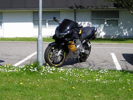 Honda CBR 600 F4 - Kom nu far.... Skal vi ikke snart ud at køre....:o) billede 10