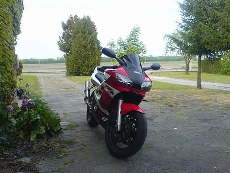 Yamaha YZF R6 billede 14