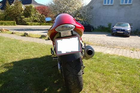 Suzuki hayabusa "solgt" billede 4