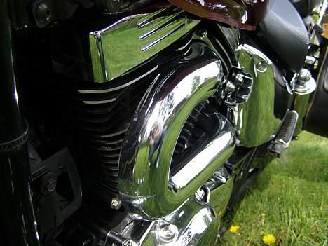 Suzuki VZ 800 Marauder billede 8