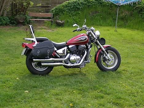 Suzuki VZ 800 Marauder billede 14