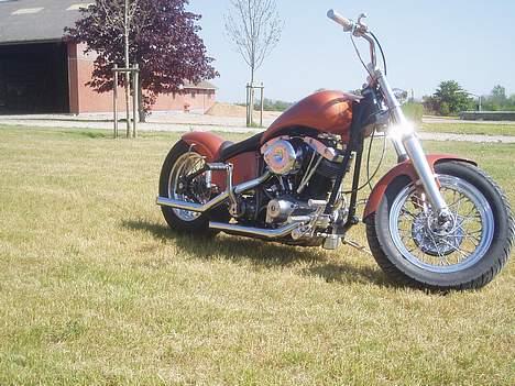 Harley Davidson FL 1200 billede 3