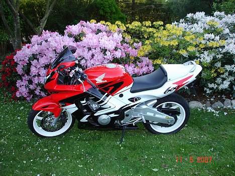 Honda CBR 600 F3 SOLGT billede 15