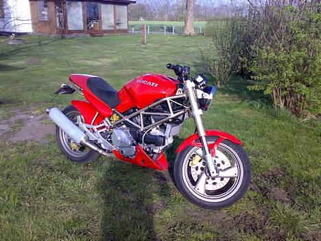 Ducati monster 750 solgt billede 2