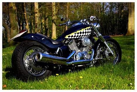 Yamaha xvs 1100 Dragstar billede 18