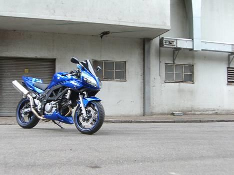 Suzuki SV650 ( Skødstrup ) billede 12