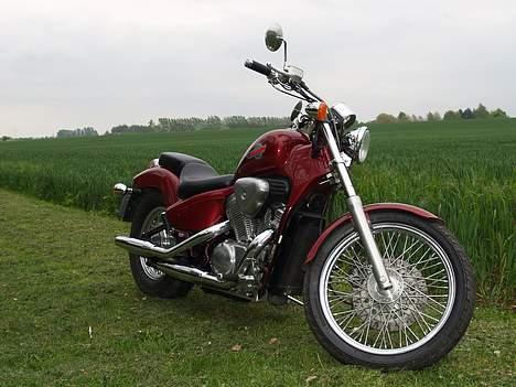 Honda shadow 600 c billede 2