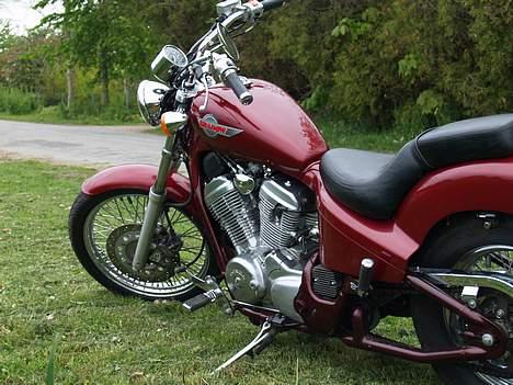 Honda shadow 600 c billede 4