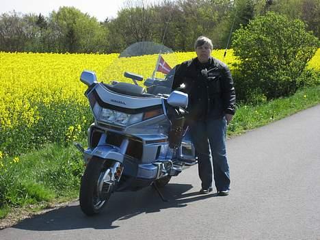 Honda Gl 1500 GoldWing - Jette og GoldWingen billede 8