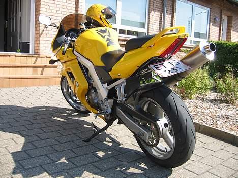 Suzuki SV650S - Ja jeg ved det, men Nr.pladen er blevet rettet ud nu... Sidder godt nok stadig lidt skrå... ;-) billede 9