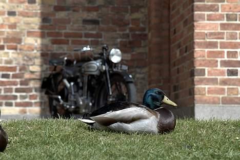 Norton M19 600ccm billede 9