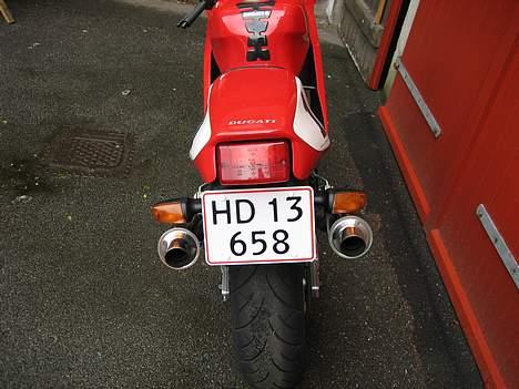 Ducati 900 SuperLight  billede 5