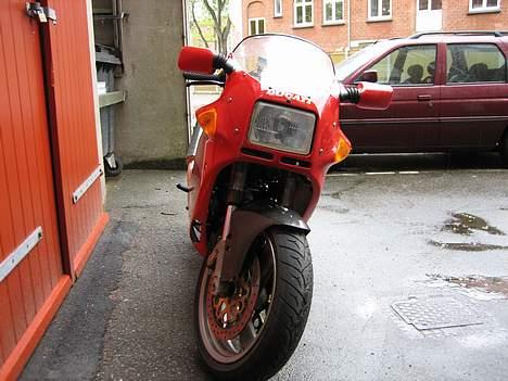 Ducati 900 SuperLight  billede 6