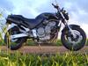 Honda CB600F Hornet 