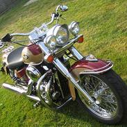 Honda Shadow VT750 SOLGT: