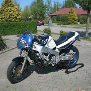 Yamaha FZR 1000  SOLGT