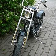 Harley Davidson Panhead