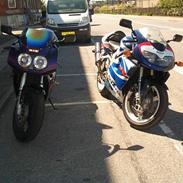 Suzuki TL 1000R (solgt)