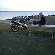 Suzuki gsx-R